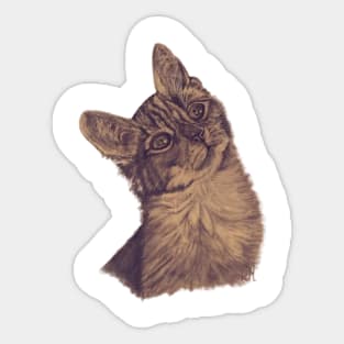 Kitten Tabby Cat Sticker